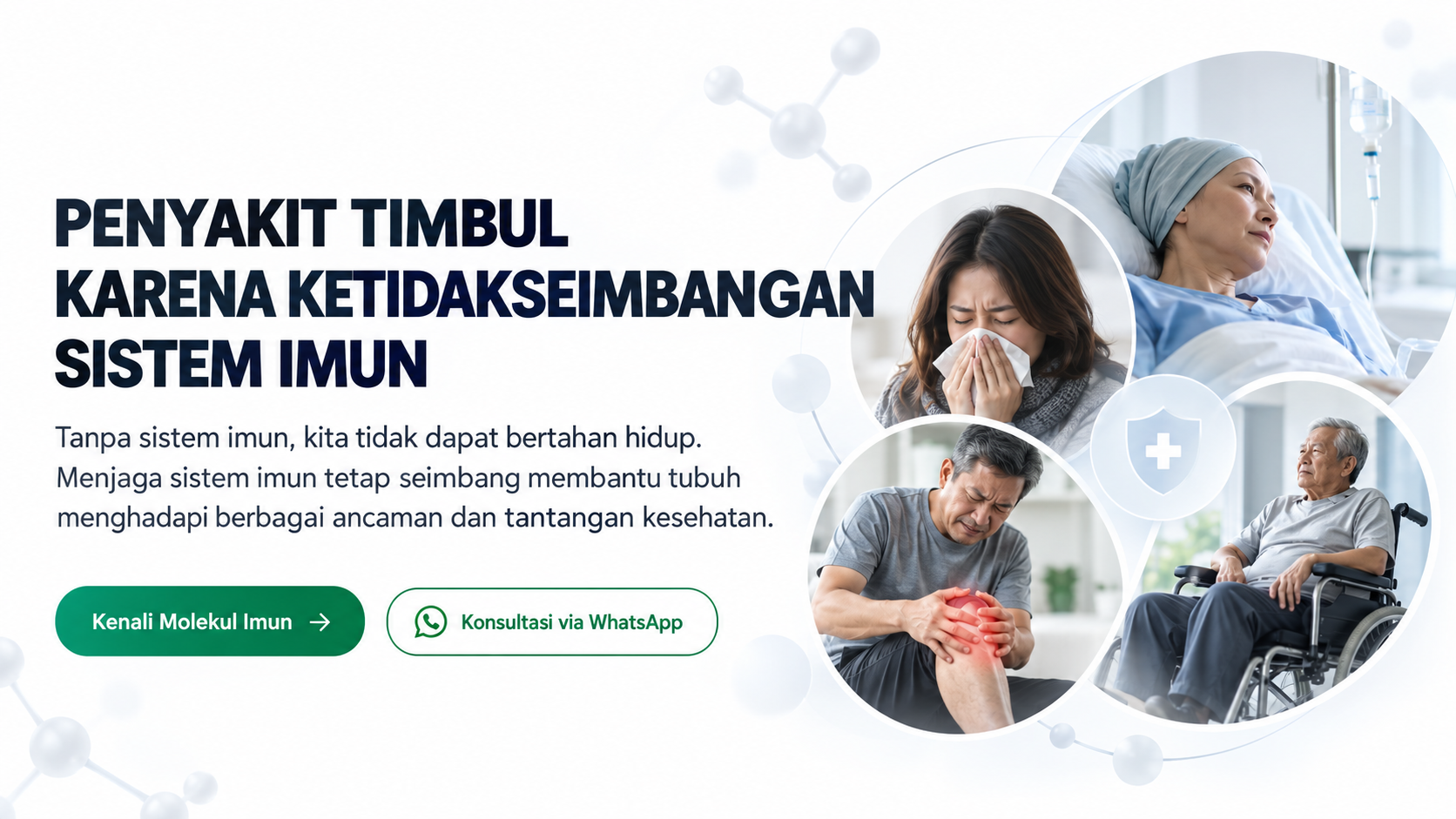 Penyakit timbul karena ketidakseimbangan sistem imun